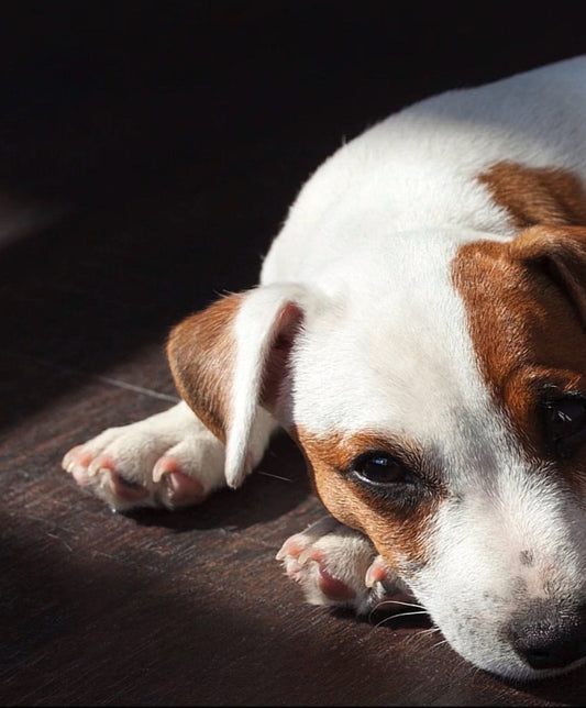 Before We're Ready, They Already Are