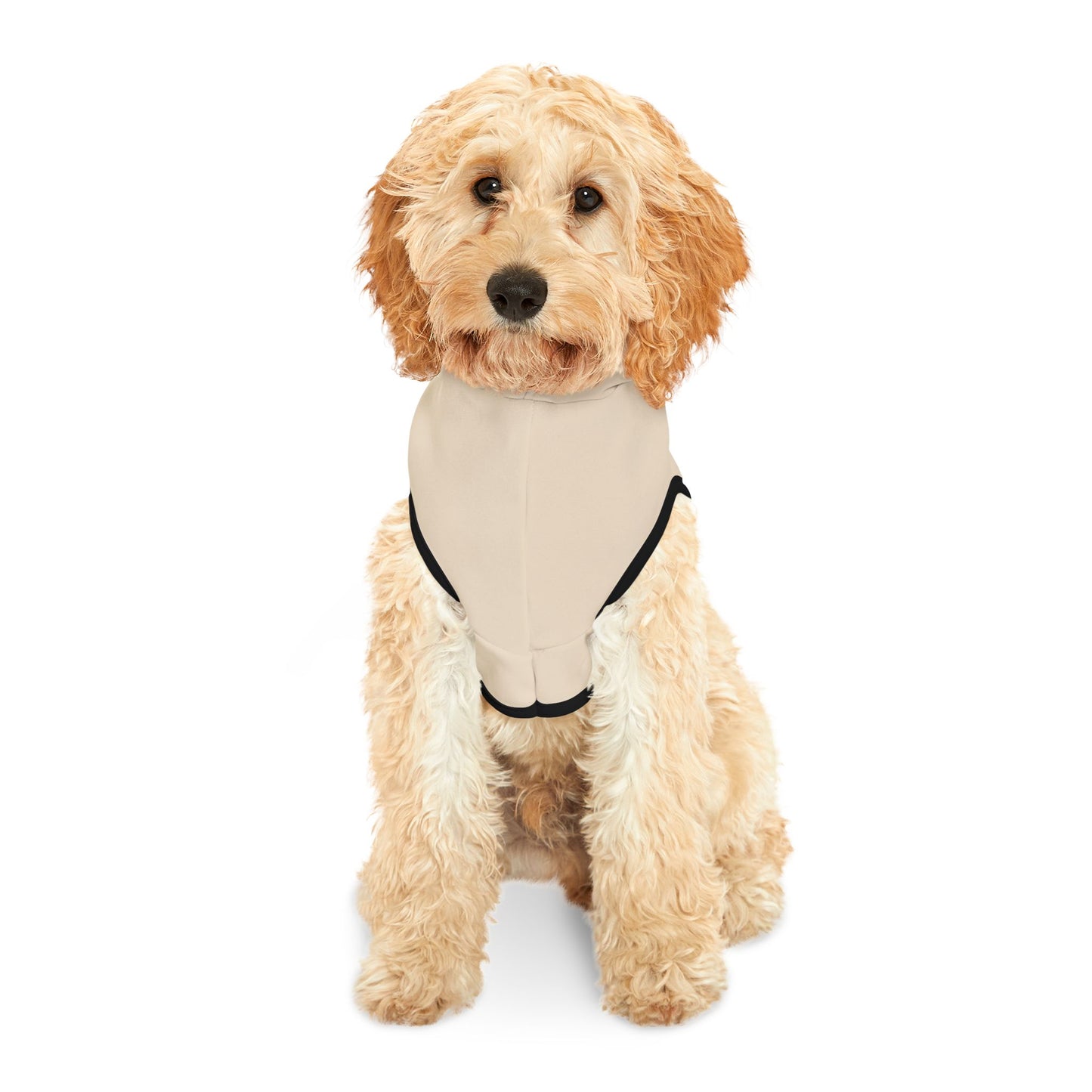 Dog wearing a beige shirt on a white background