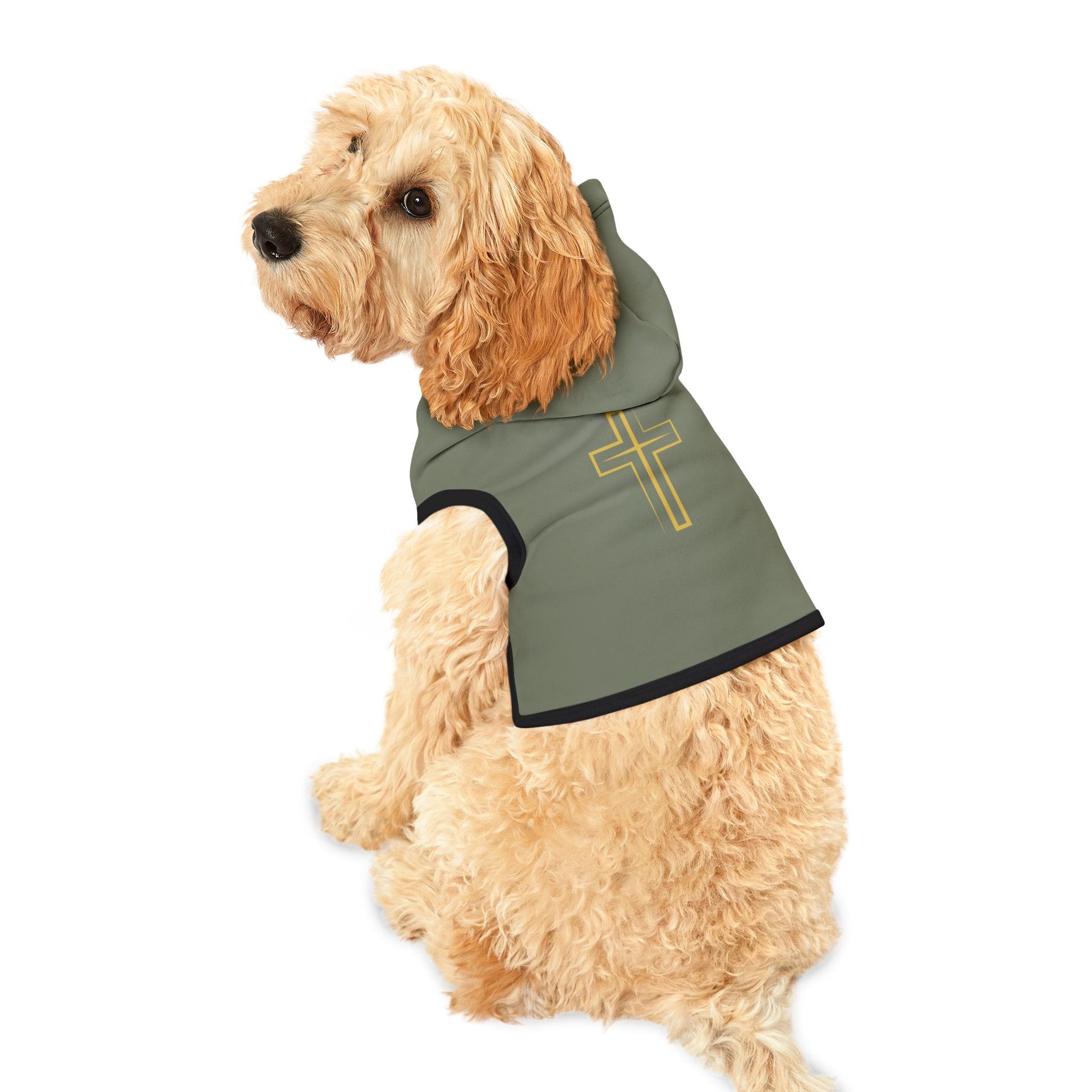 Dog wearing a green jacket with a cross design on a white background