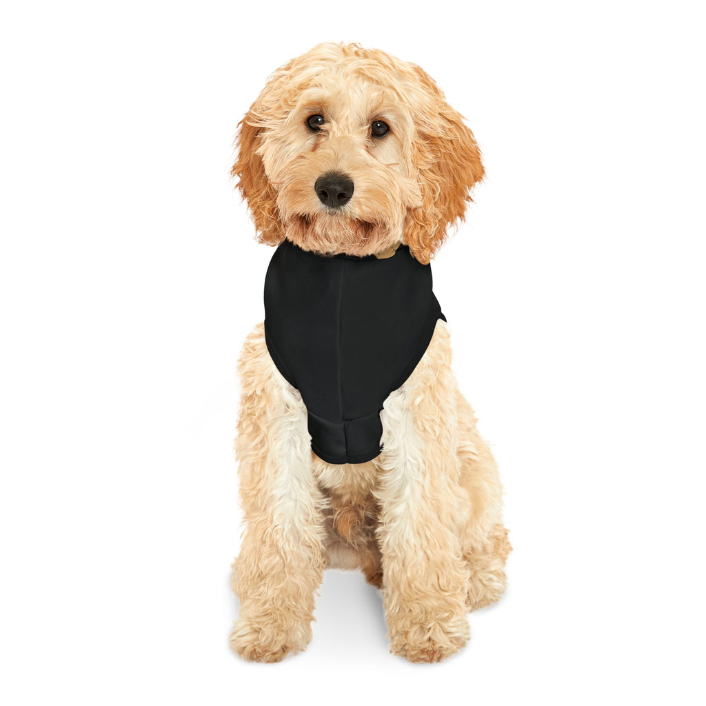 Light-colored dog facing forward in black pet hoodie with plain front view.