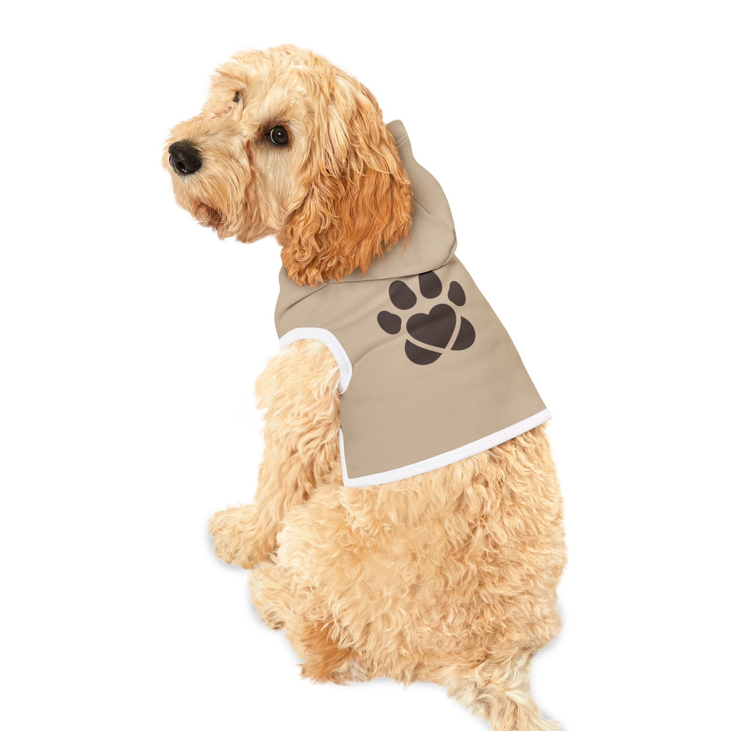 Dog wearing a beige hoodie with a black paw print on a white background