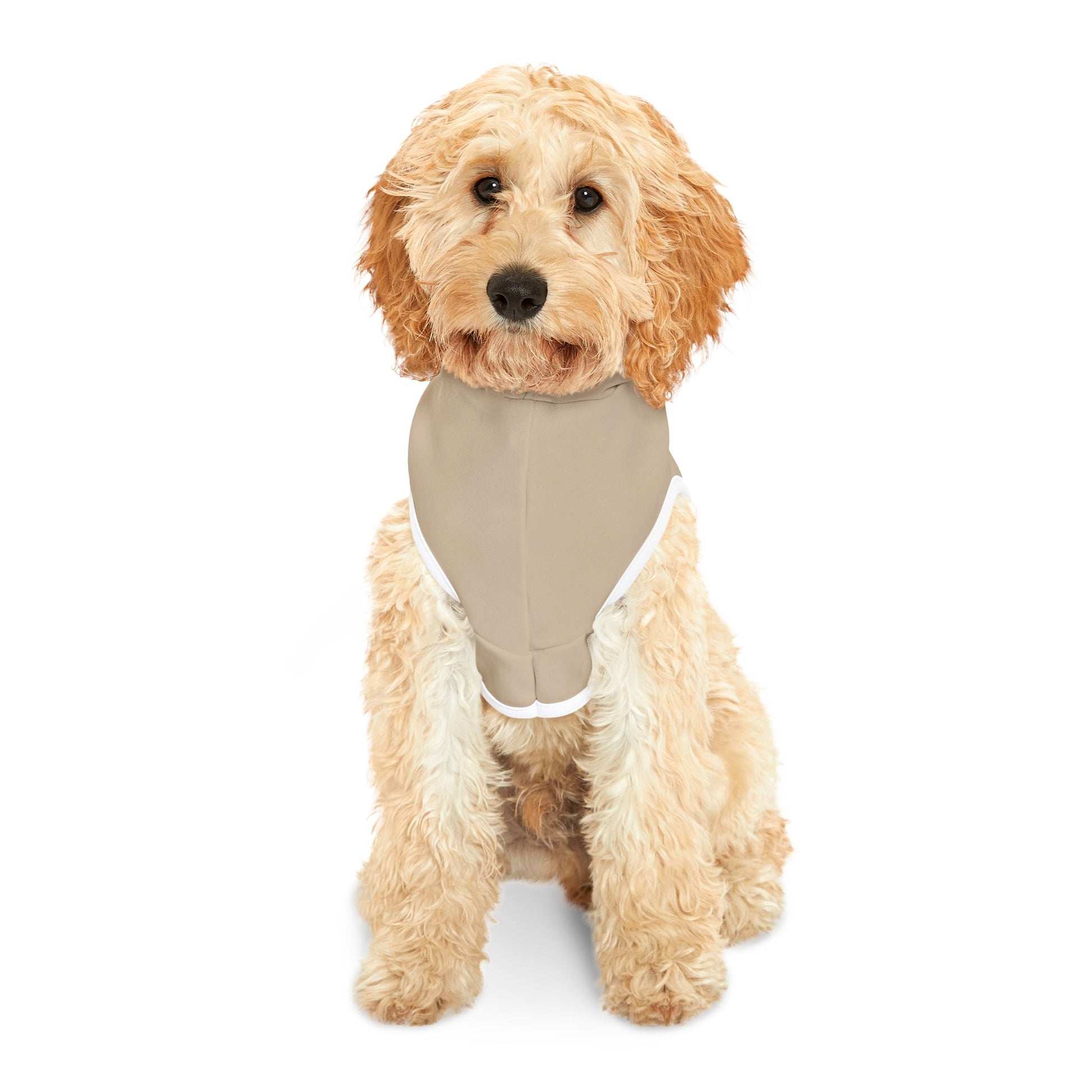 Dog wearing a beige harness on a white background