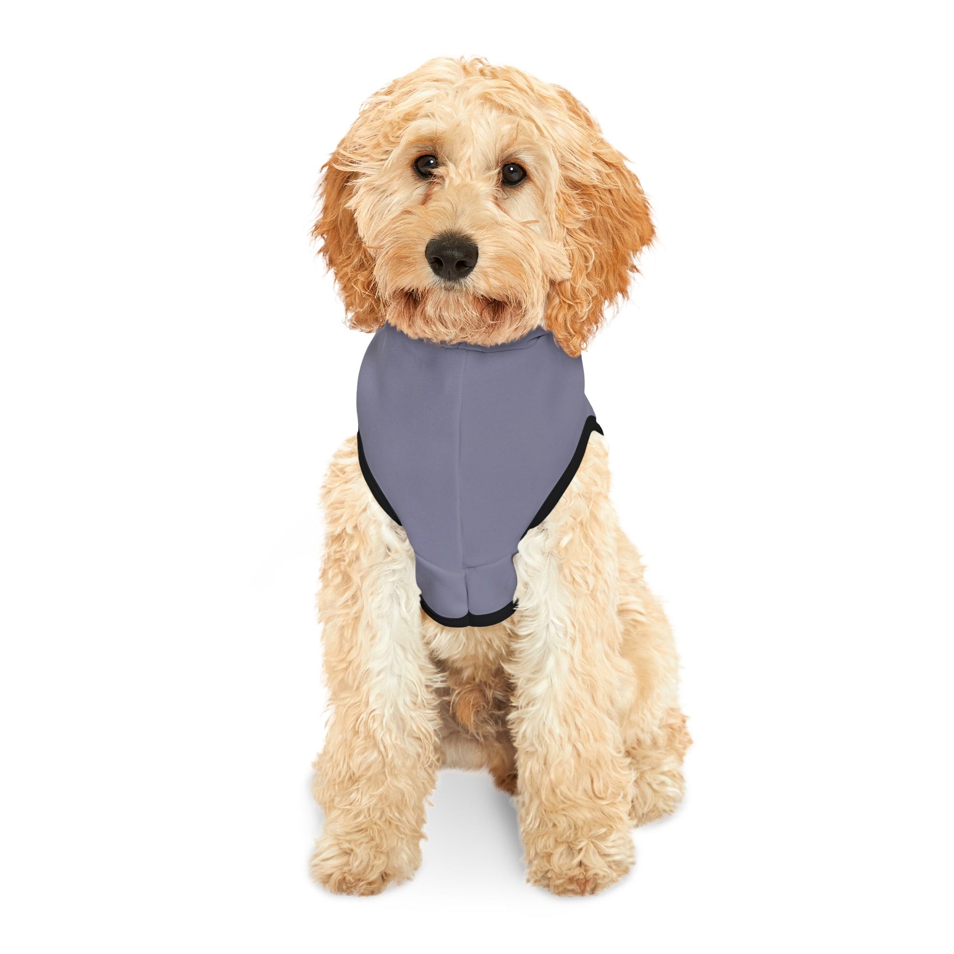 Dog wearing a gray harness on a white background