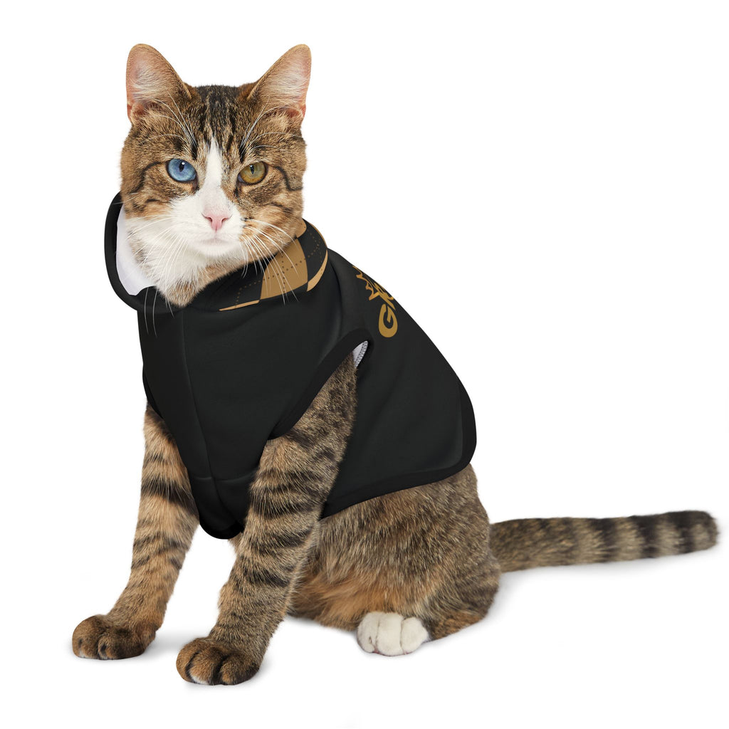 Tabby cat walking in black GRACE pet hoodie with plaid hood and gold graphic.