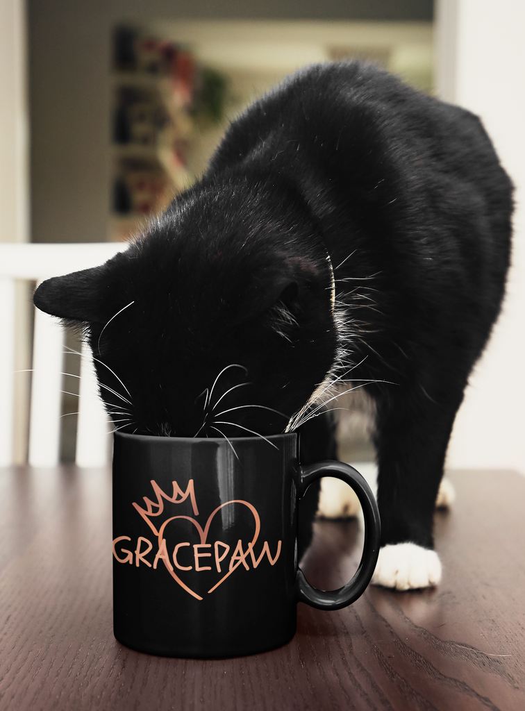 Black Cat drinking from black mug that has a rose gold heart graphic and says Grace Paw