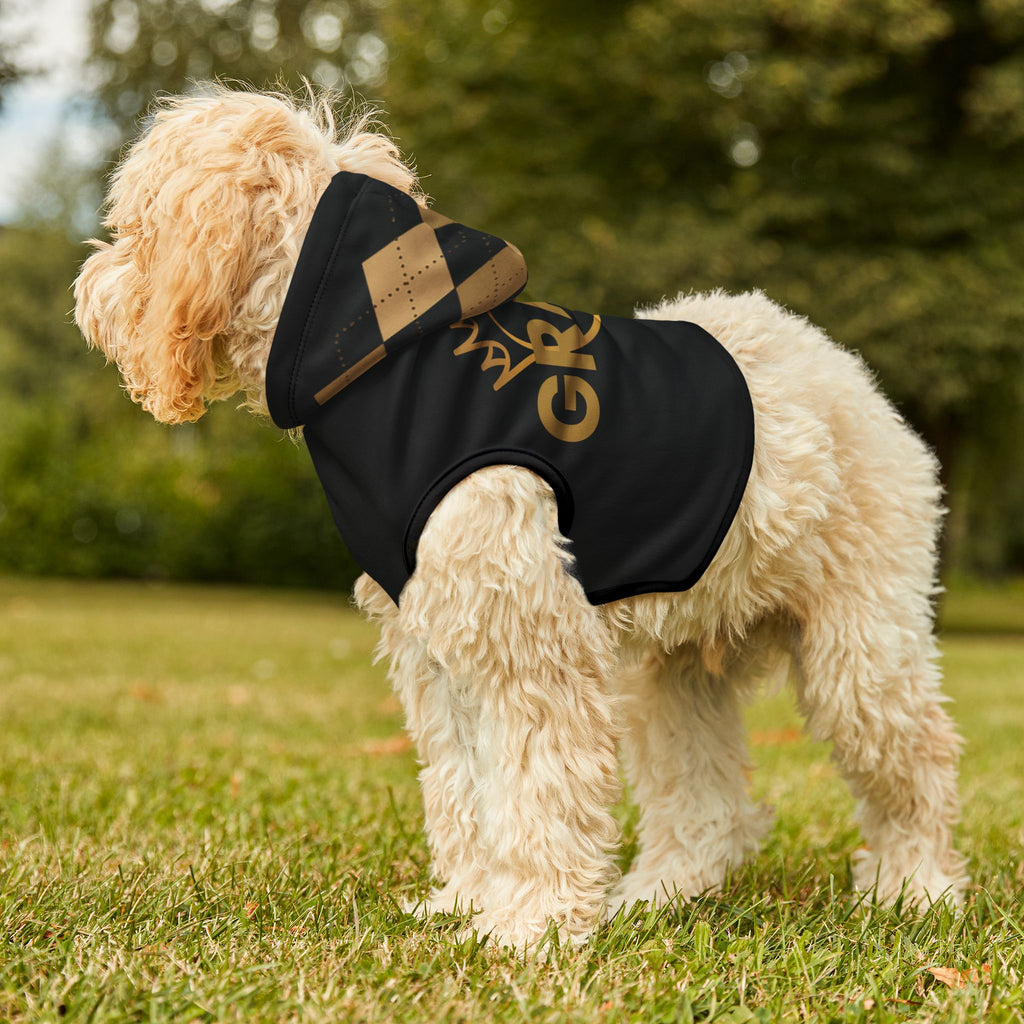 Light-colored dog sitting outdoors in black GRACE pet hoodie with plaid hood and gold design.