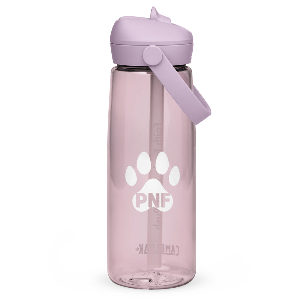 Back view of purple sky CamelBak® water bottle showing the PNF logo in white.