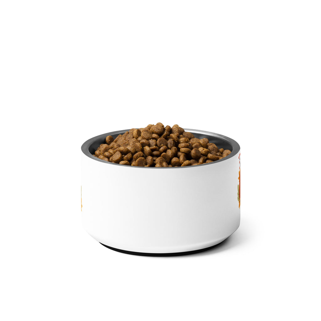 Close-up of a plain white stainless steel pet bowl filled with bone-shaped kibble.