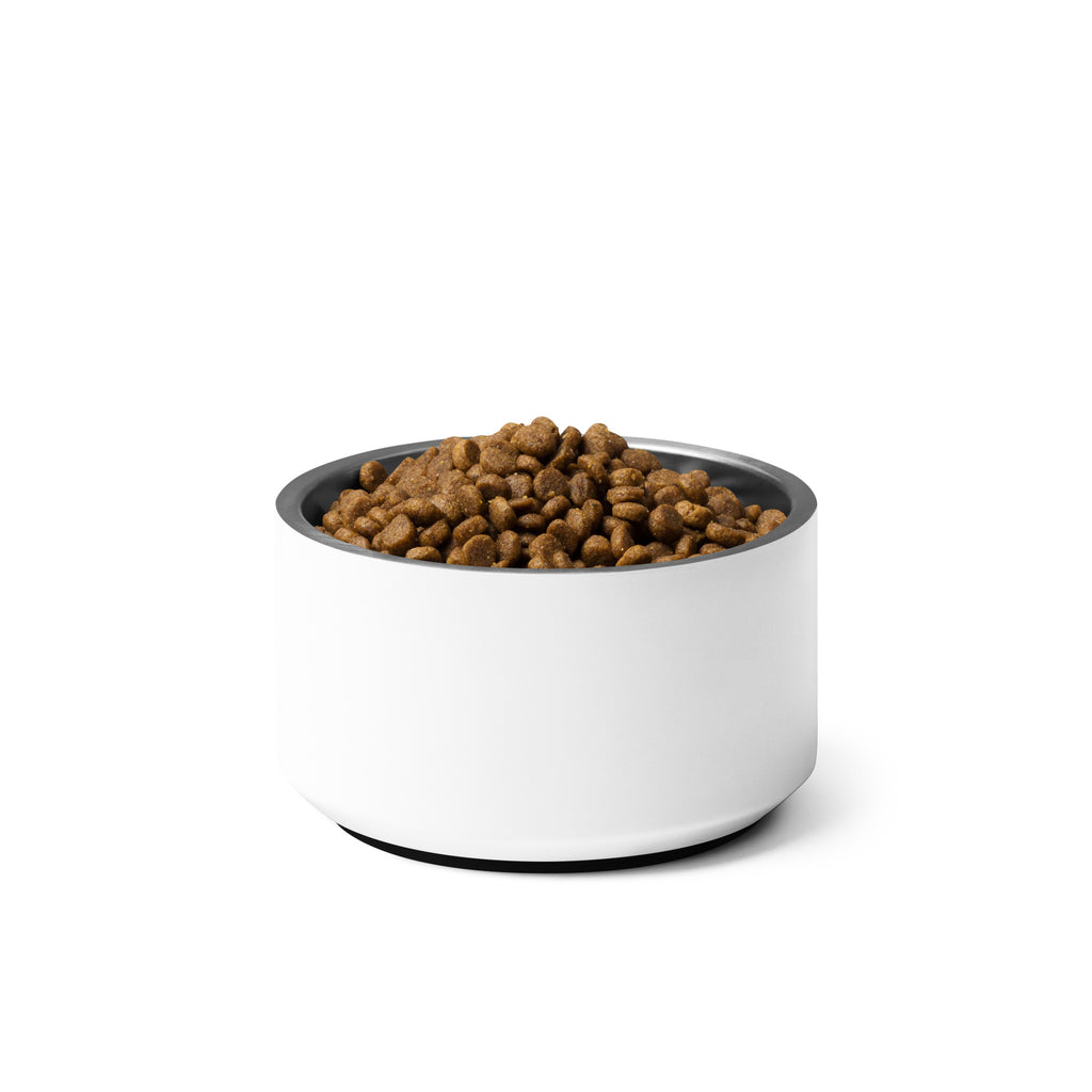 Stainless steel pet bowl filled with bone-shaped kibble, white exterior with blank design.