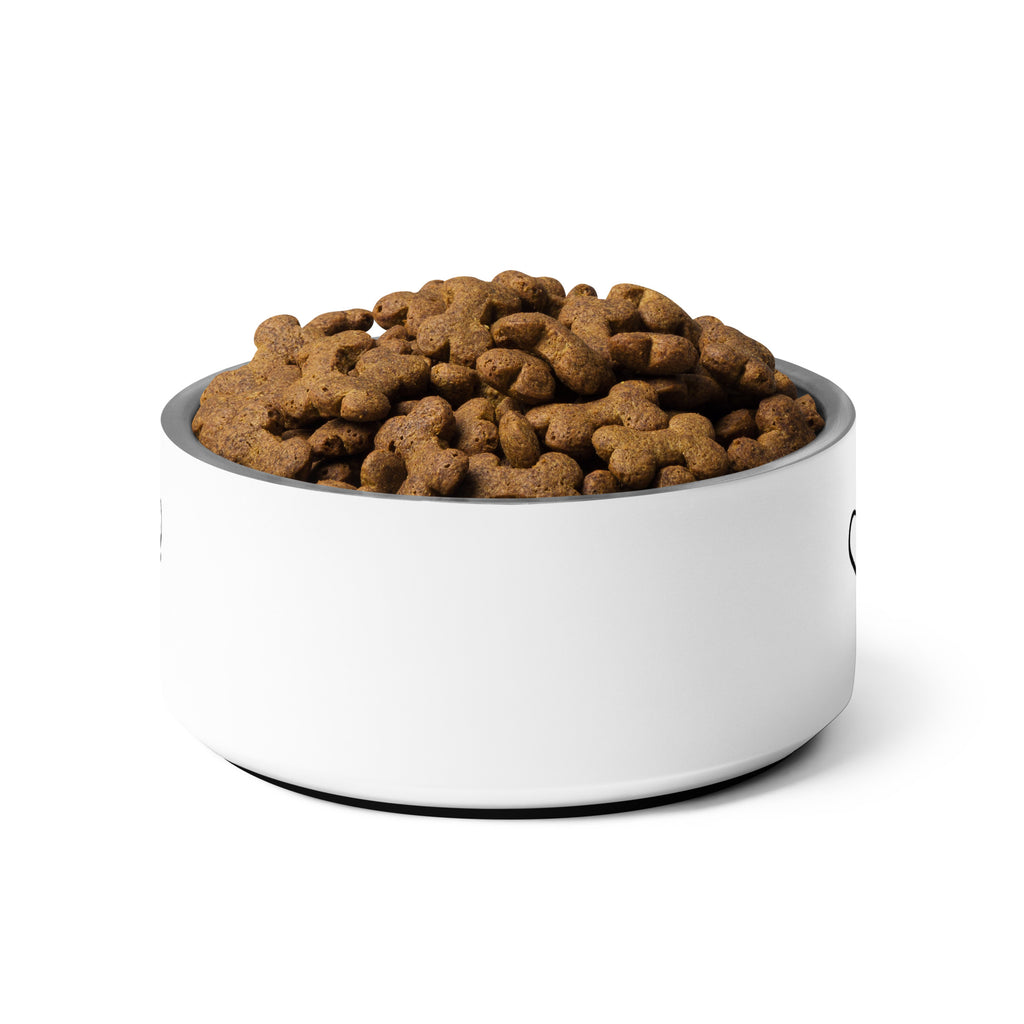 Plain white stainless steel pet bowl filled with brown kibble.