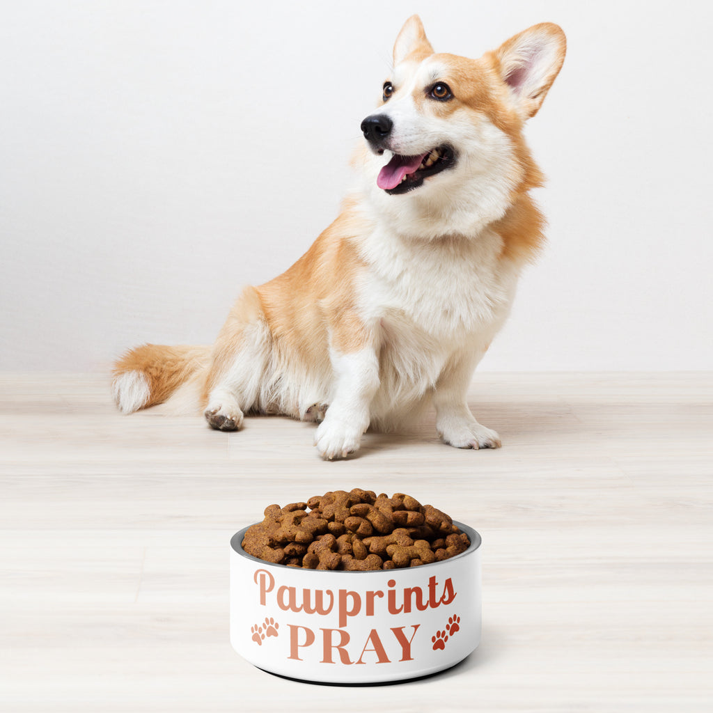 Corgi sitting next to Pawprints Pray terracotta print stainless steel pet bowl filled with kibble.