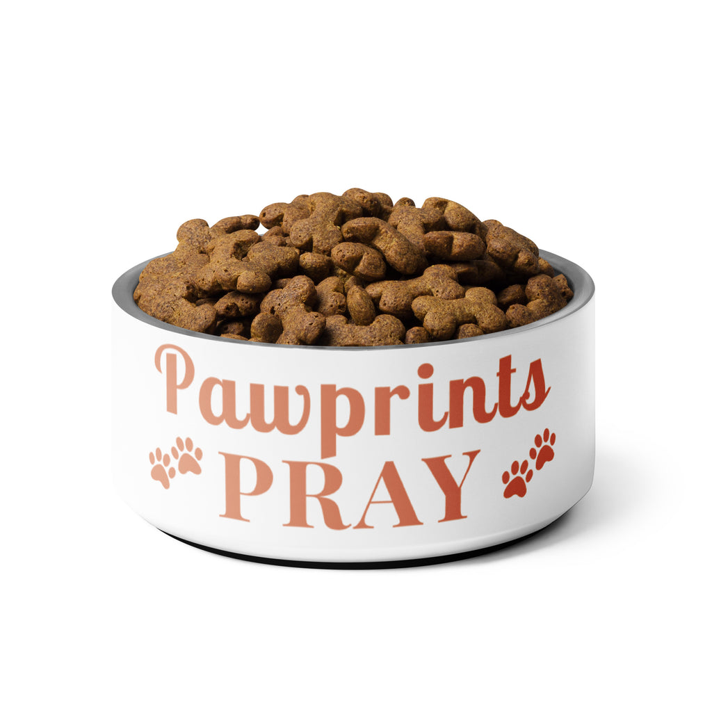 White stainless steel pet bowl filled with brown bone-shaped kibble, plain view.