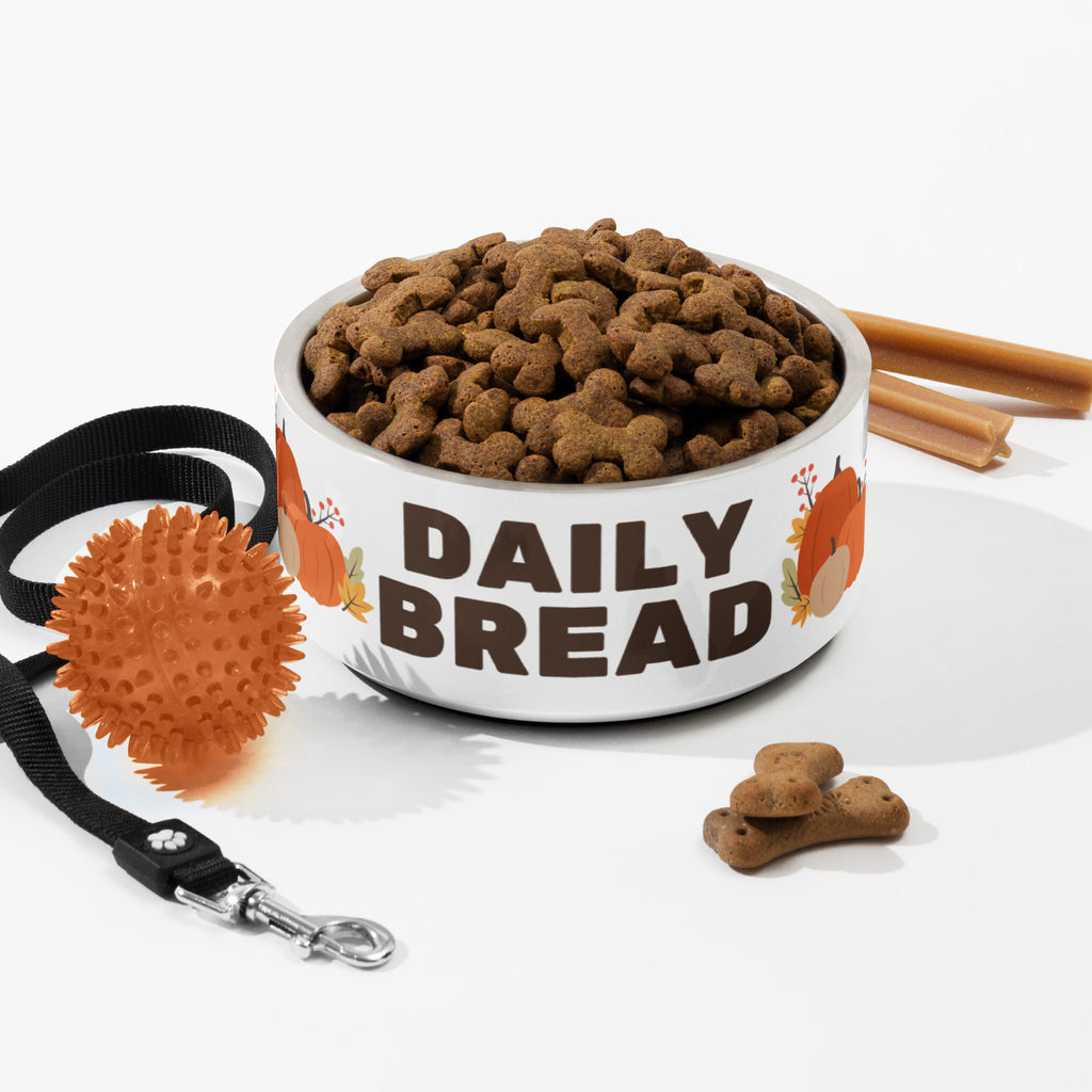 Daily Bread pet bowl with autumn leaves and pumpkin design, filled with dog kibble next to dog toys.