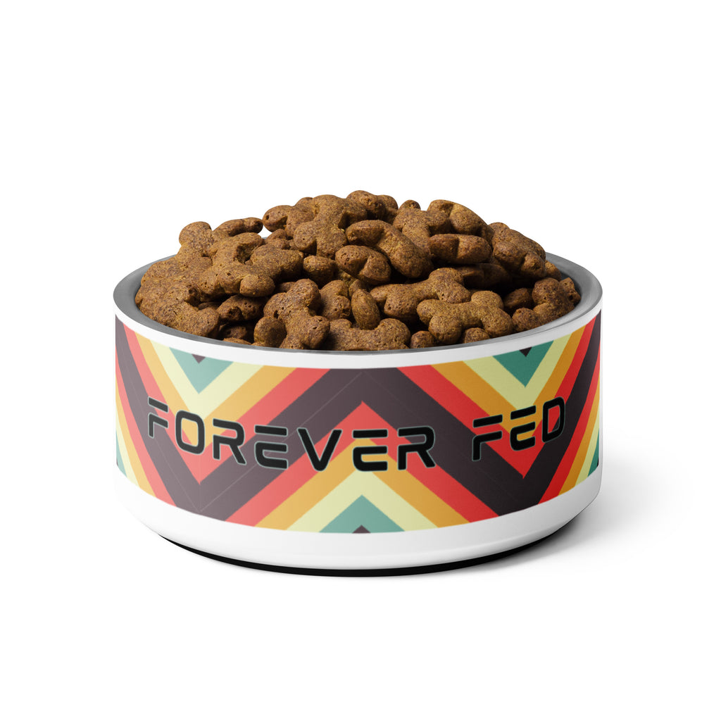 Stainless steel “Forever Fed” pet bowl filled with dog kibble, featuring retro rainbow stripes.