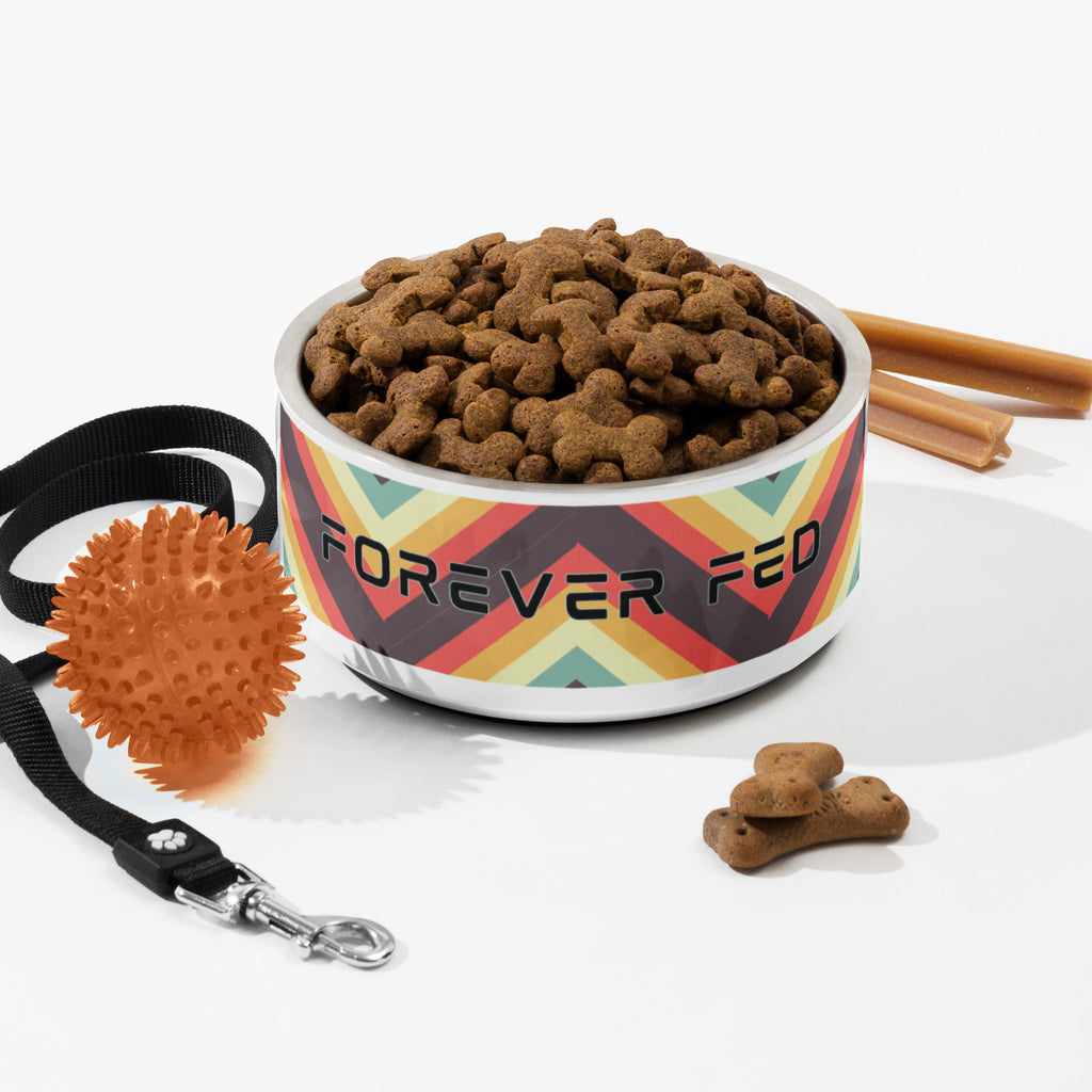 Stainless steel “Forever Fed” pet bowl filled with dog kibble, around pet toys and featuring retro rainbow stripes.