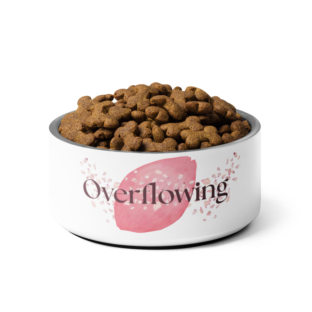 Close-up of white stainless steel pet bowl with “Overflowing” paw print design, filled with brown kibble.