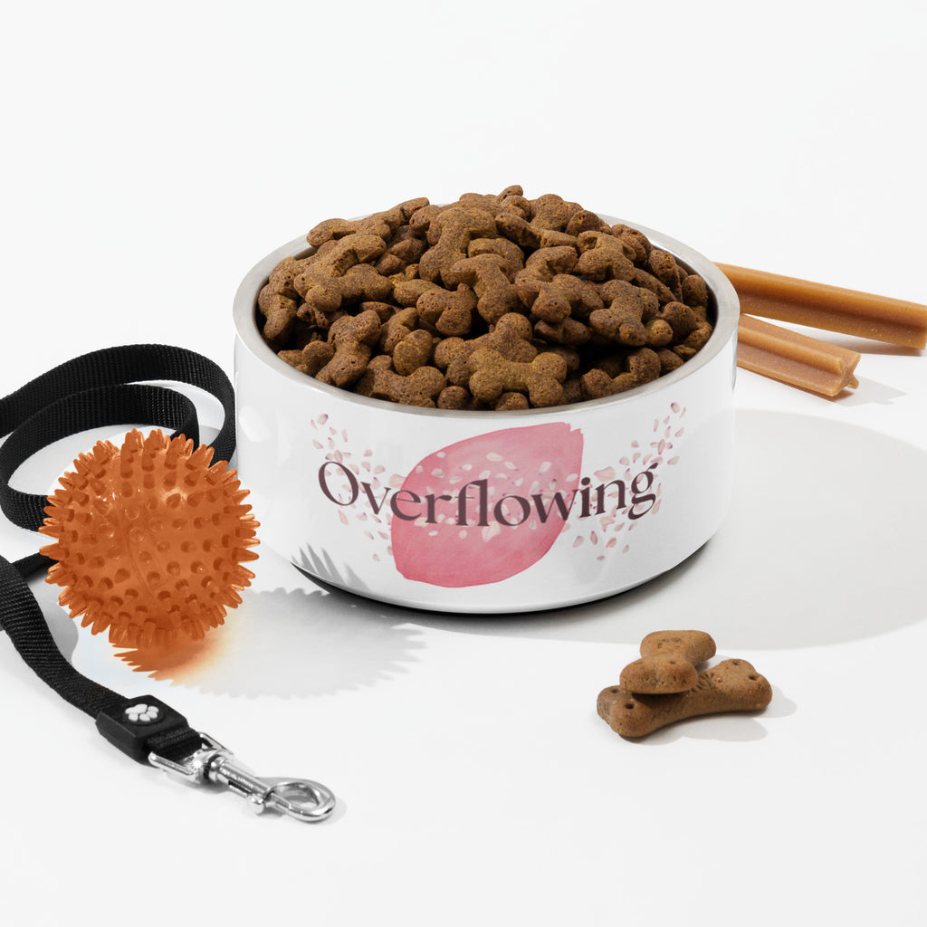 Close-up of white stainless steel pet bowl with “Overflowing” paw print design, filled with brown kibble, surrounding with pet toys.