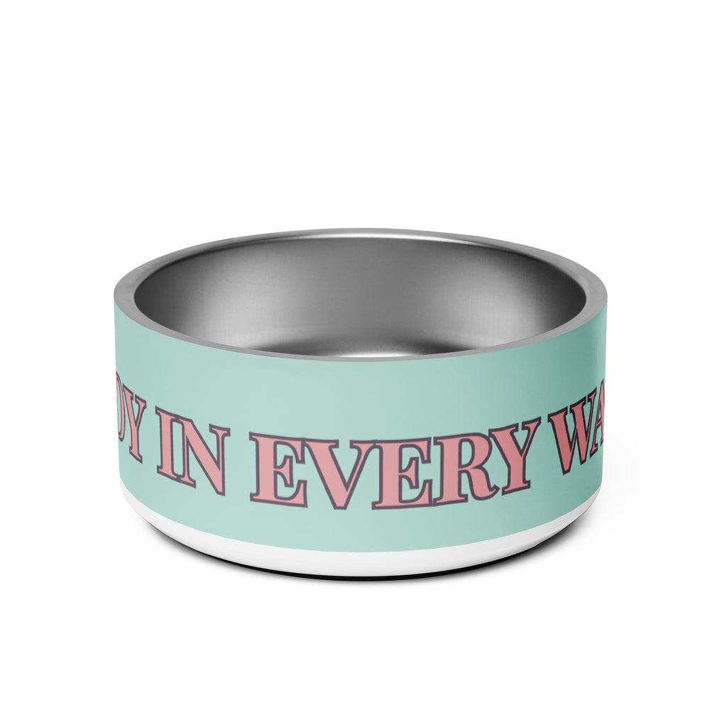Mint green pet bowls stacked on top of each other with pink and black text reading “Joy in Every Wag,” featuring a durable stainless steel interior and anti-slip rubber base.