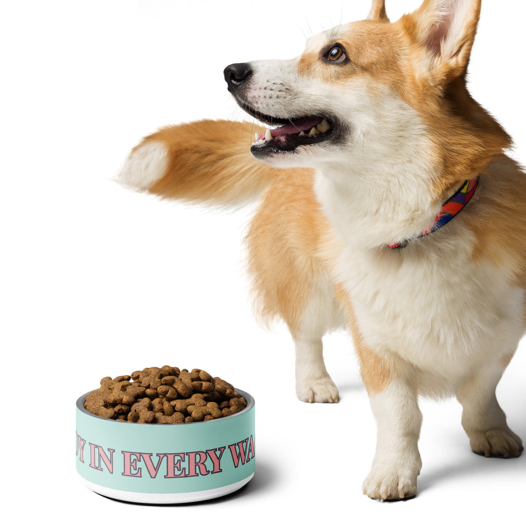 Mint green pet bowl stacked on top of each other with pink and black text reading “Joy in Every Wag,” featuring a durable stainless steel interior and anti-slip rubber base.