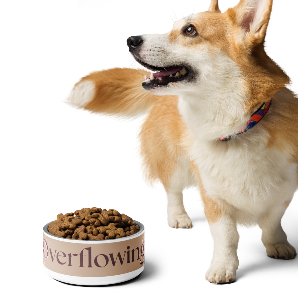Close-up of the white stainless steel pet bowl with the words, “Overflowing” in the front and a rose petal design adorned on the sides. A corgi dog is standing next to the dog bowl filled with kibble.