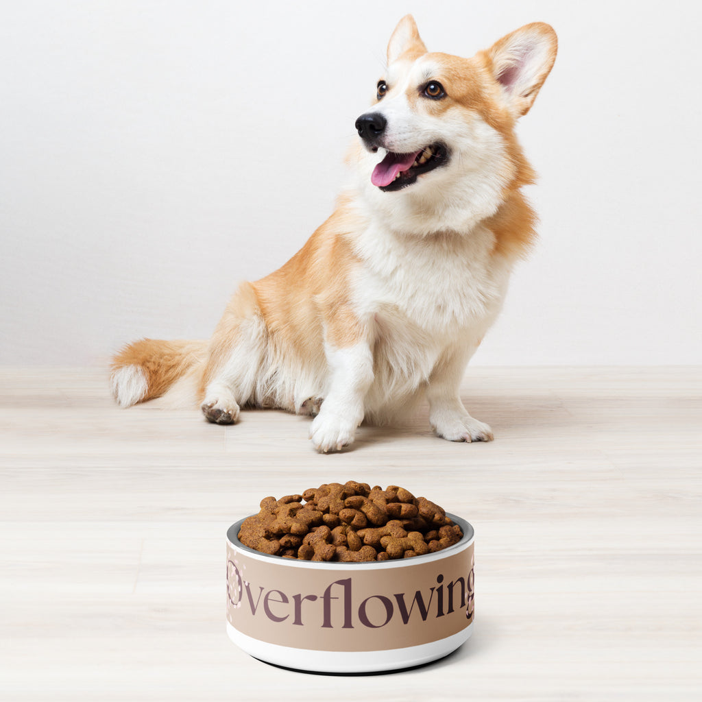Close-up of the white stainless steel pet bowl with the words, “Overflowing” in the front and a rose petal design adorned on the sides. A corgi dog is standing next to the dog bowl filled with kibble.