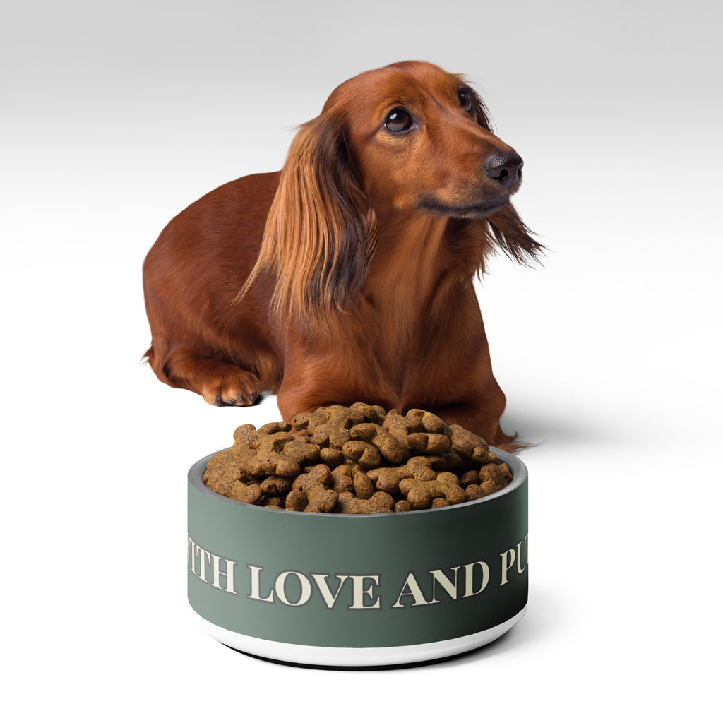 Close-up of white stainless steel pet bowl with the saying, " Fed with Love and Purpose" with brown dog and bowl full of kibble. 