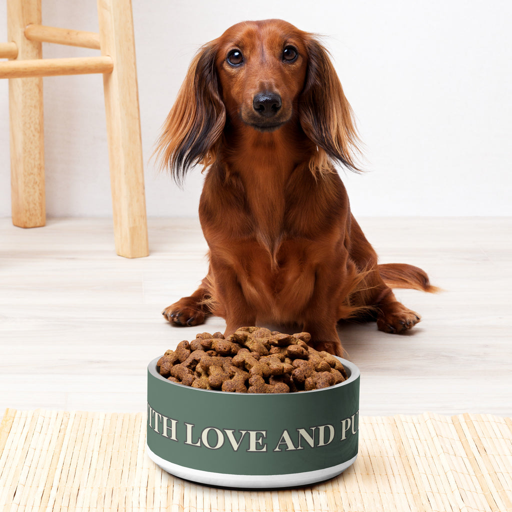 Close-up of white stainless steel pet bowl with the saying, " Fed with Love and Purpose" with brown dog and bowl full of kibble. 
