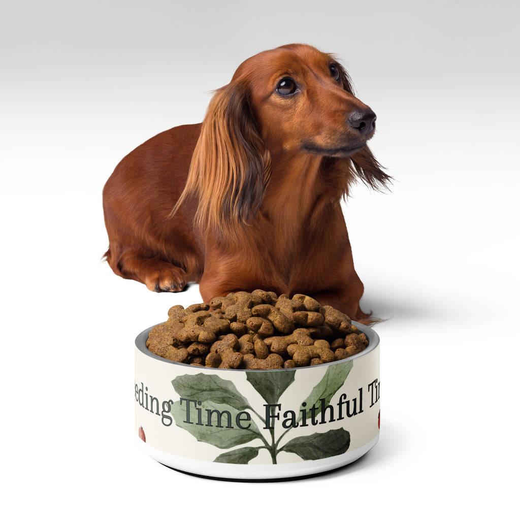 Stainless steel pet bowl with cream exterior and green leaf botanical pattern, text “Feeding Time, Faithful Time” around the rim, anti‑slip base visible