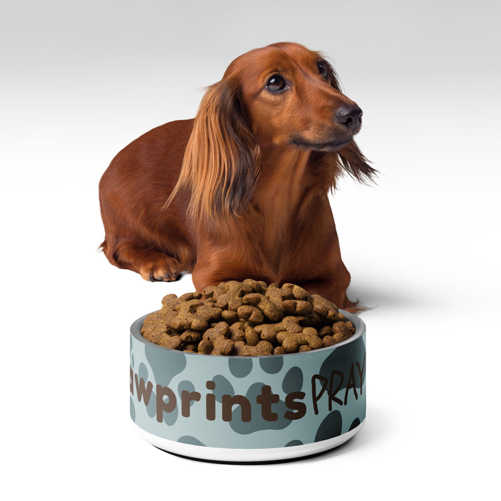 Stainless steel pet bowl with soft blue background and scattered dark paw prints, featuring the text “Pawprints Pray” in brown bold and handwritten font.
