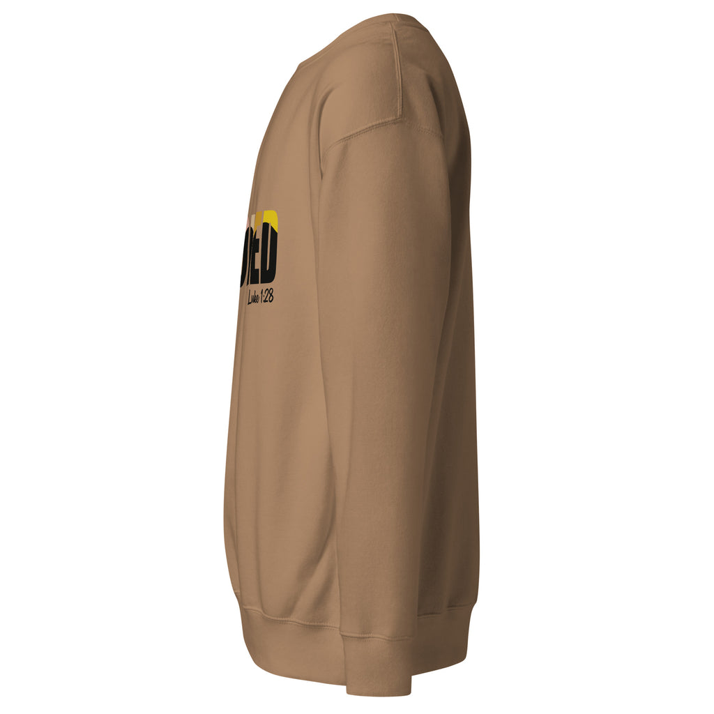 Latte unisex sweatshirt with colorful FAVORED typography and Luke 1:28 scripture reference, designed by Pets N’ Faith.